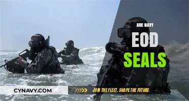 Explosive Ordnance Disposal: The Elite Navy SEALs' Lesser-Known Cousins