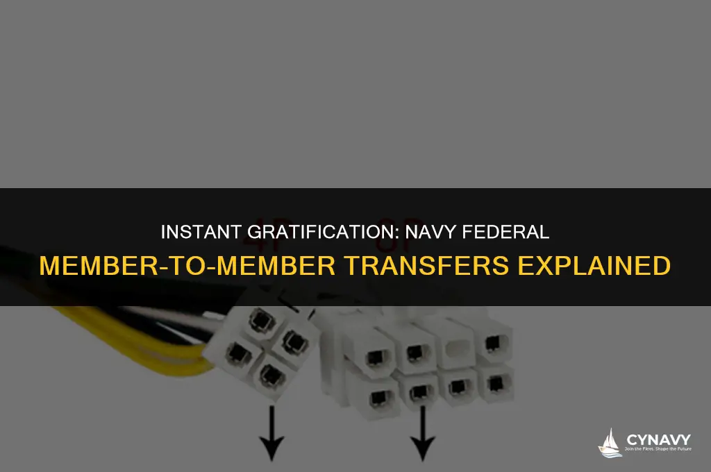 are navy federal member to member transfers instant