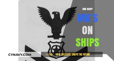 Exploring the Role of Navy Master-at-Arms on Ships