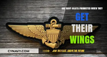 Do Navy Pilots Receive Promotions Upon Earning Their Wings?