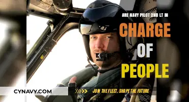 Do Navy Pilot 2nd Lts Lead Teams in the Military?