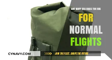 Navy Sea Bags: Are They Too Large for Standard Flights?