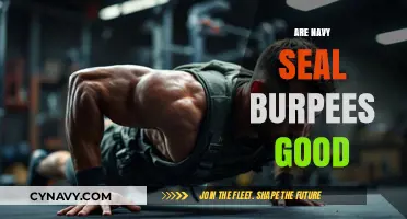 Unleashing the Power of Navy SEAL Burpees: A Comprehensive Guide
