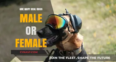 Unveiling the Gender Mystery: Navy SEAL Dogs' Untold Story