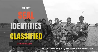 Unveiling the Mystery: Are Navy SEAL Identities Classified?