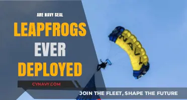 Leapfrog Deployments: A Rare Tactic in Navy SEAL Operations