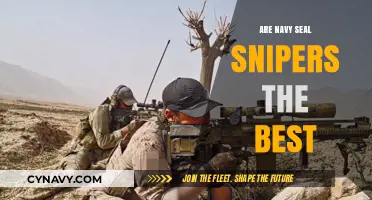 Elite Precision: Debating the Supremacy of Navy SEAL Snipers
