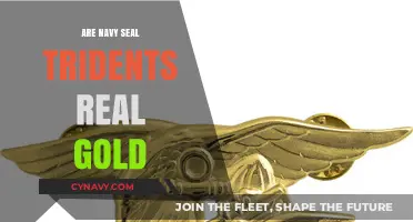 Unveiling the Truth: Navy SEAL Tridents and the Myth of Real Gold