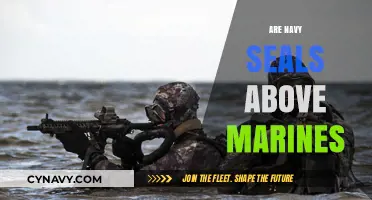 Elite Forces Compared: Navy SEALs vs. Marines - Who Reigns Supreme?