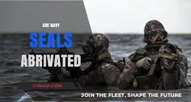 Decoding Military Jargon: The Truth About Navy SEAL Abbreviations