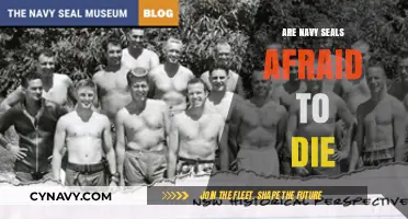 Courage in the Face of Mortality: Insights into Navy SEALs' Fearless Minds