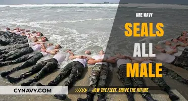 Diversity in the Elite: The Evolving Gender Dynamics of Navy SEALs