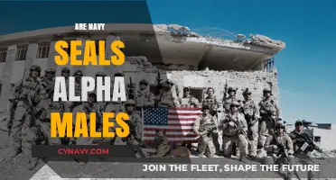 Exploring the Alpha Male Archetype: A Look at Navy SEALs