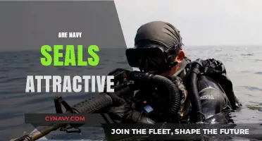 Decoding Desire: The Alluring Appeal of Navy SEALs