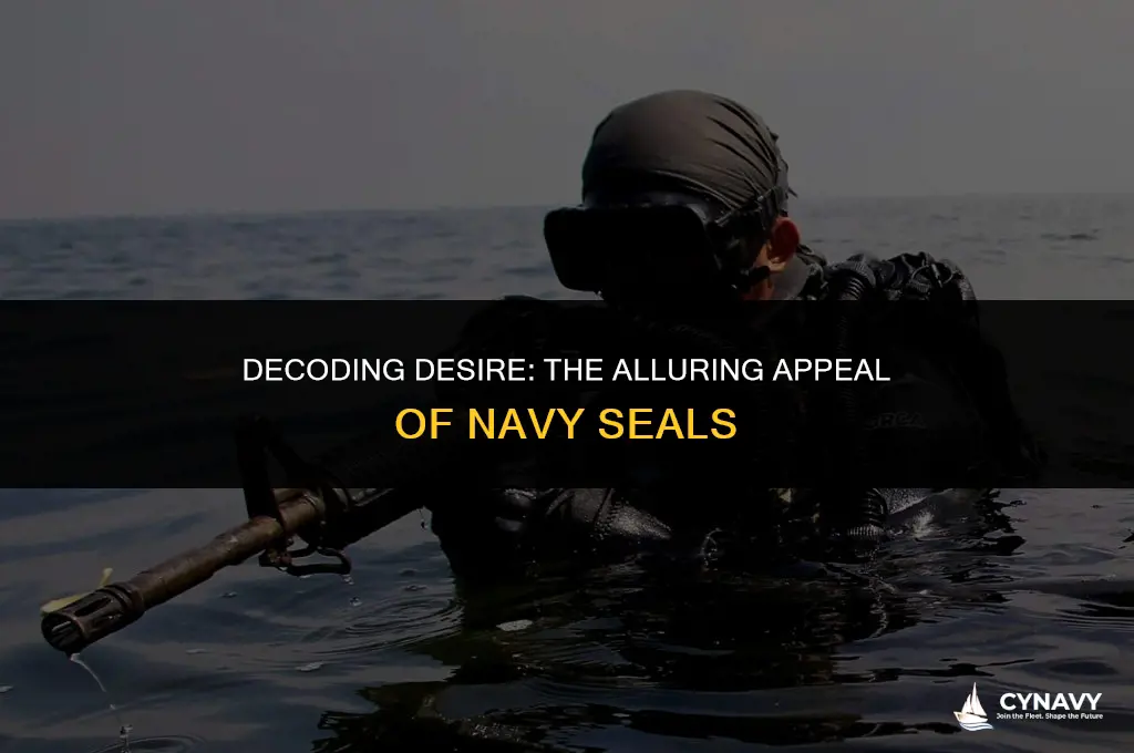 are navy seals attractive