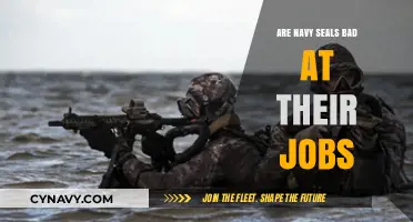 Debunking Myths: The Unseen Realities of Navy SEALs' Expertise