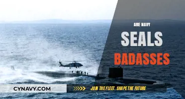 Unleashing the Legend: Are Navy SEALs the Ultimate Badasses?