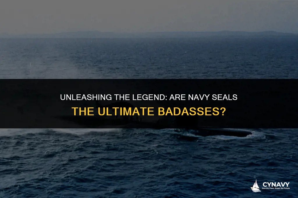 are navy seals badasses
