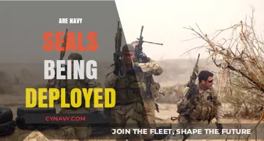 Deployment Dilemmas: The Current Status of Navy SEALs Abroad