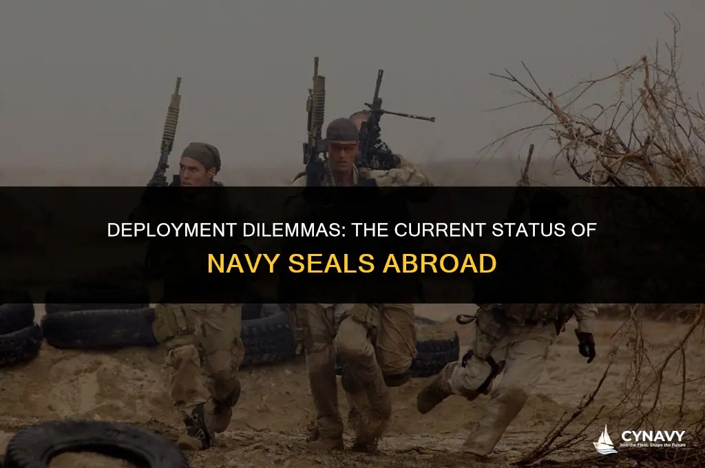 are navy seals being deployed