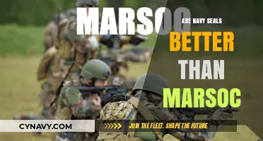 Elite Forces Compared: Navy SEALs vs. MARSOC - Who Reigns Supreme?