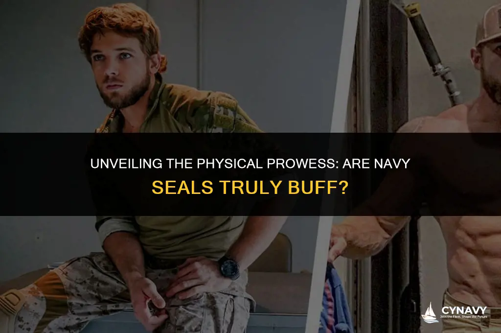 are navy seals buff