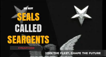 Understanding Military Ranks: Are Navy SEALs Called Sergeants?