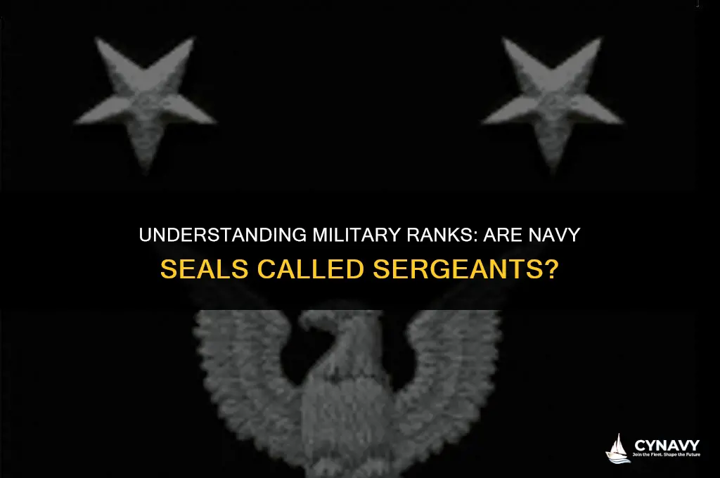 are navy seals called seargents