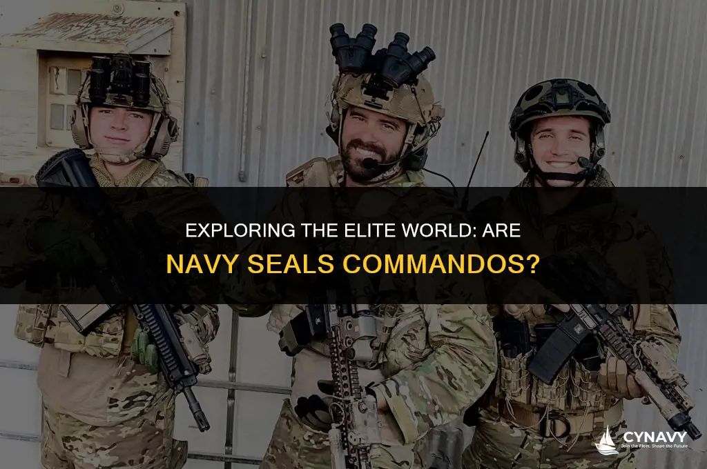 are navy seals commandos