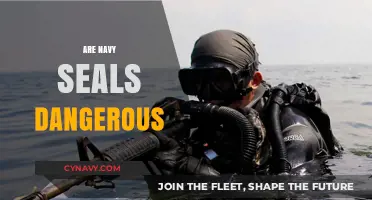 Unveiling the Truth: Are Navy SEALs Really as Dangerous as They Seem?