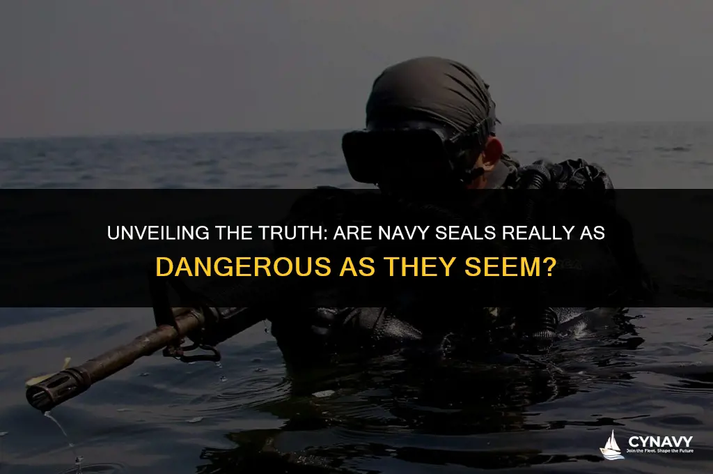 are navy seals dangerous