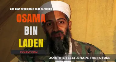 Unveiling the Truth: Navy SEALs and the Osama Bin Laden Operation