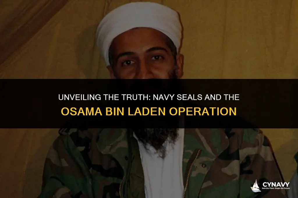 are navy seals dead that captured osama bin laden