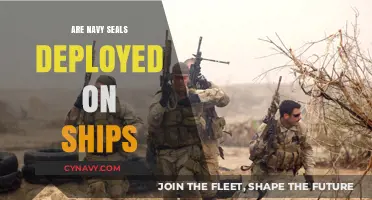 Exploring the Deployment of Navy SEALs on Maritime Missions