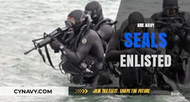 Understanding Navy SEALs: Enlisted vs. Officer Roles Explained