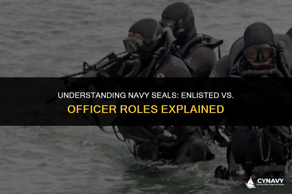 are navy seals enlisted