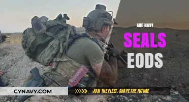 Explosive Ordnance Disposal: The Unsung Heroes of the Navy SEALs
