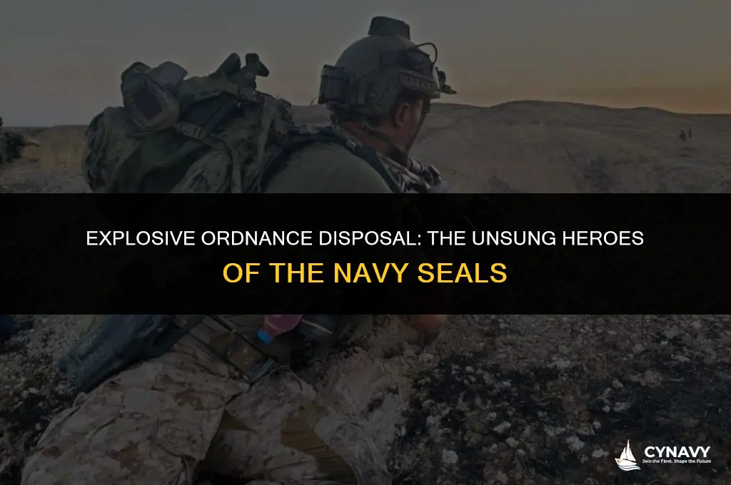 are navy seals eods