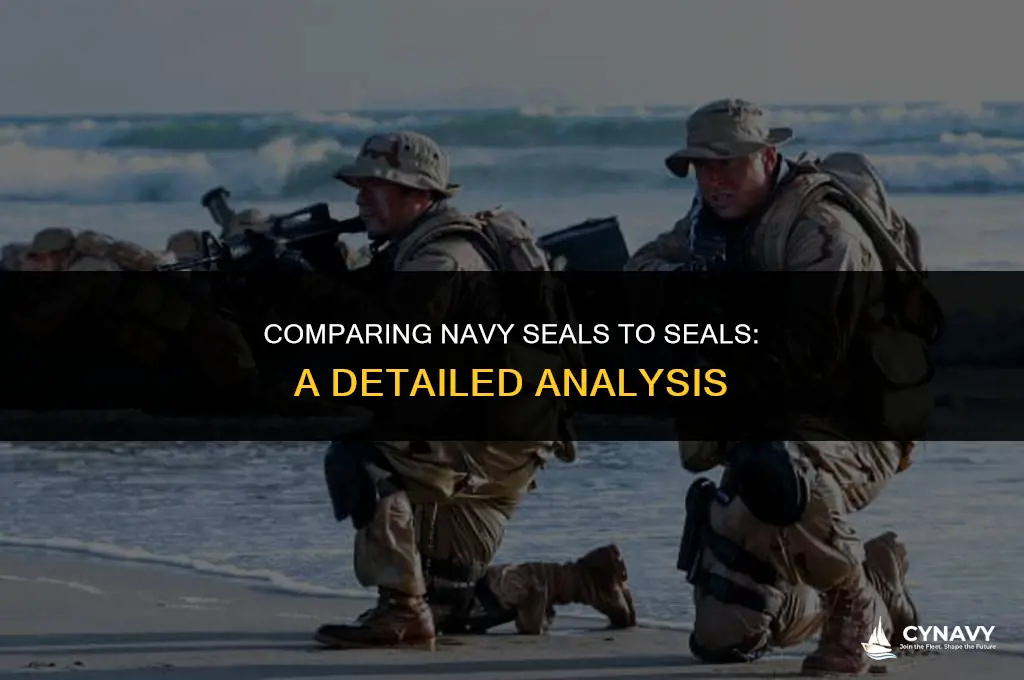 are navy seals equal to seals
