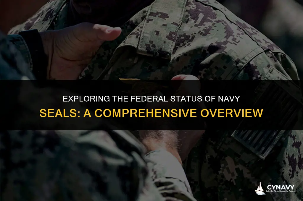 are navy seals feds