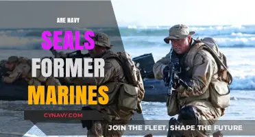 From Sea to SEAL: The Journey of Former Marines in the Navy SEALs