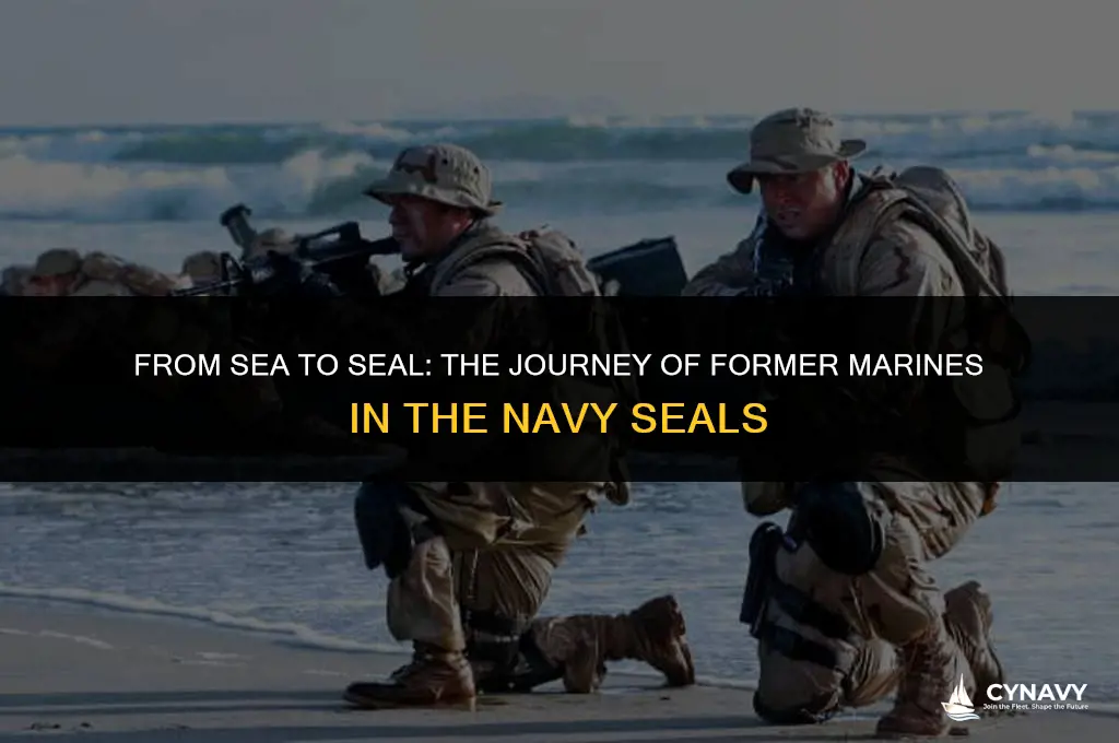 are navy seals former marines