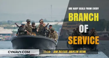 Diverse Origins of Navy SEALs: A Cross-Branch Examination