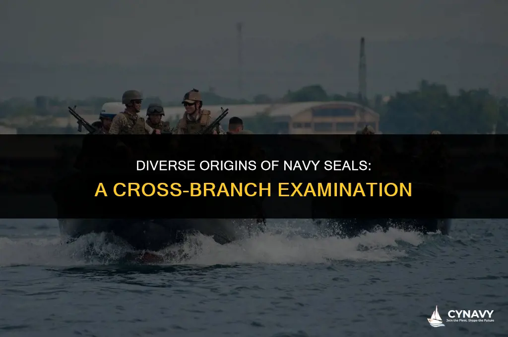 are navy seals from every branch of service