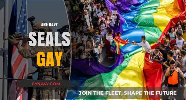 Diverse Identities in the Military: Navy SEALs and Sexual Orientation