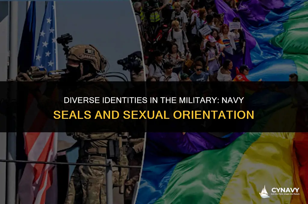 are navy seals gay