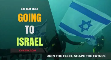 Potential Deployment: Navy SEALs and the Israel Conflict