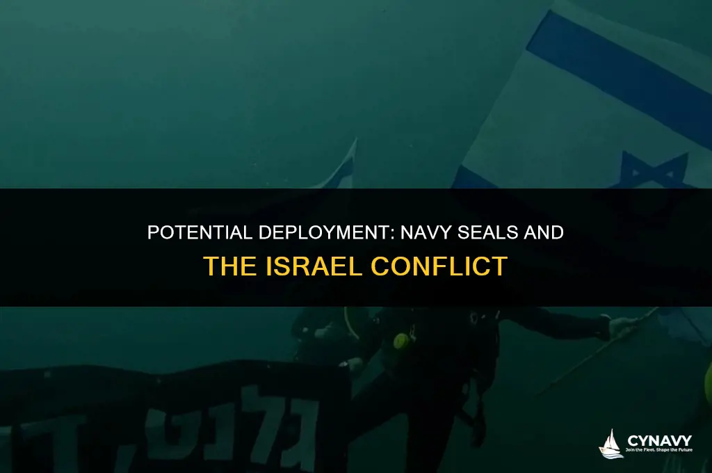 are navy seals going to israel