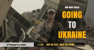 Potential Deployment: Navy SEALs and the Ukraine Conflict