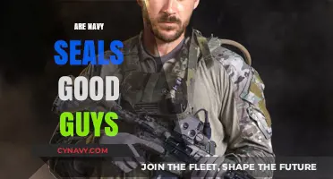 Unveiling the Truth: Are Navy SEALs the Heroes We Think They Are?
